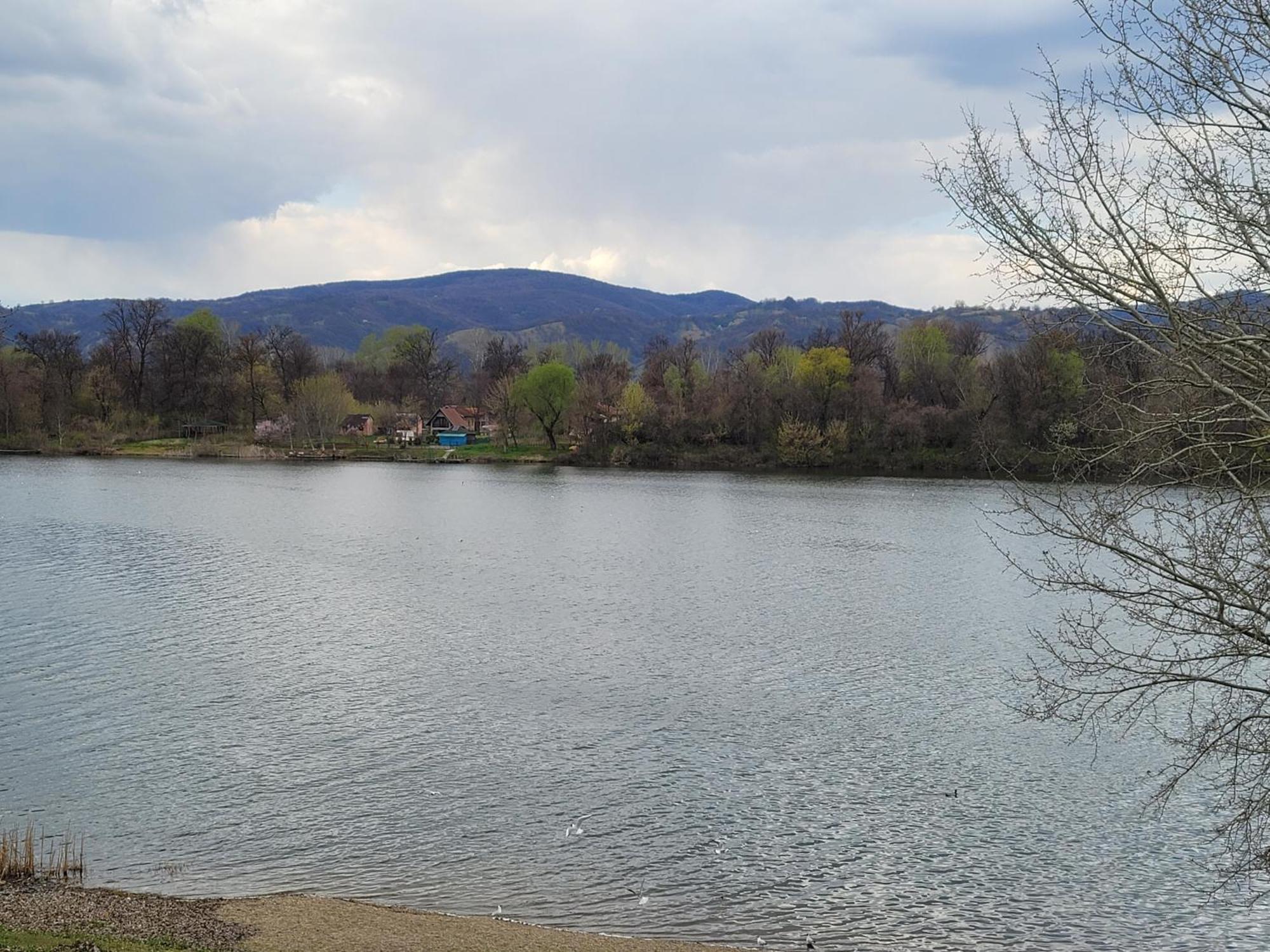 Apartmani Mitic Veliko Gradiste Room photo